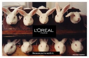 appropriation animal testing